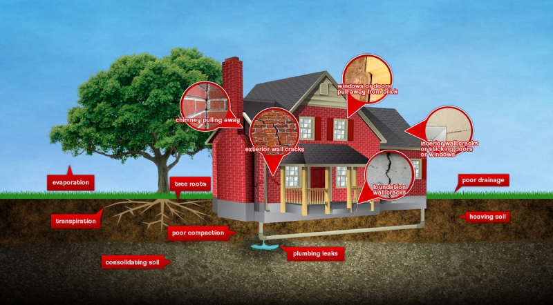 Foundation Problems Infographic